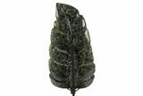 Polished Kambaba Jasper Leaf with Stand - Madagascar #335213-3
